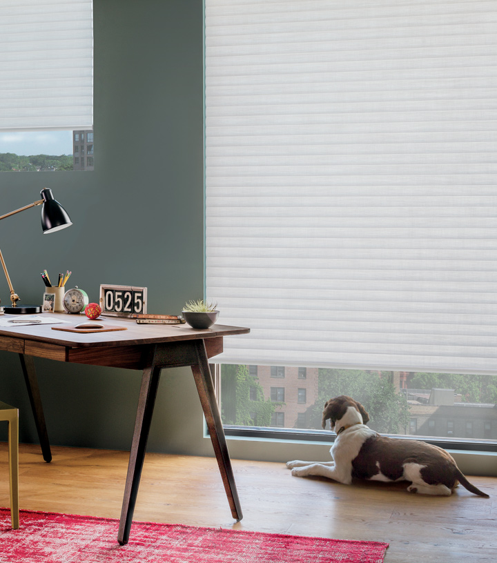Cordless Blinds | Child Safe Blinds | Hunter Douglas Minneapolis St Paul