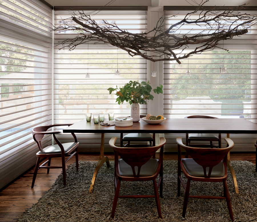 dining room hunter douglas silhouette window shades Minneapolis mn