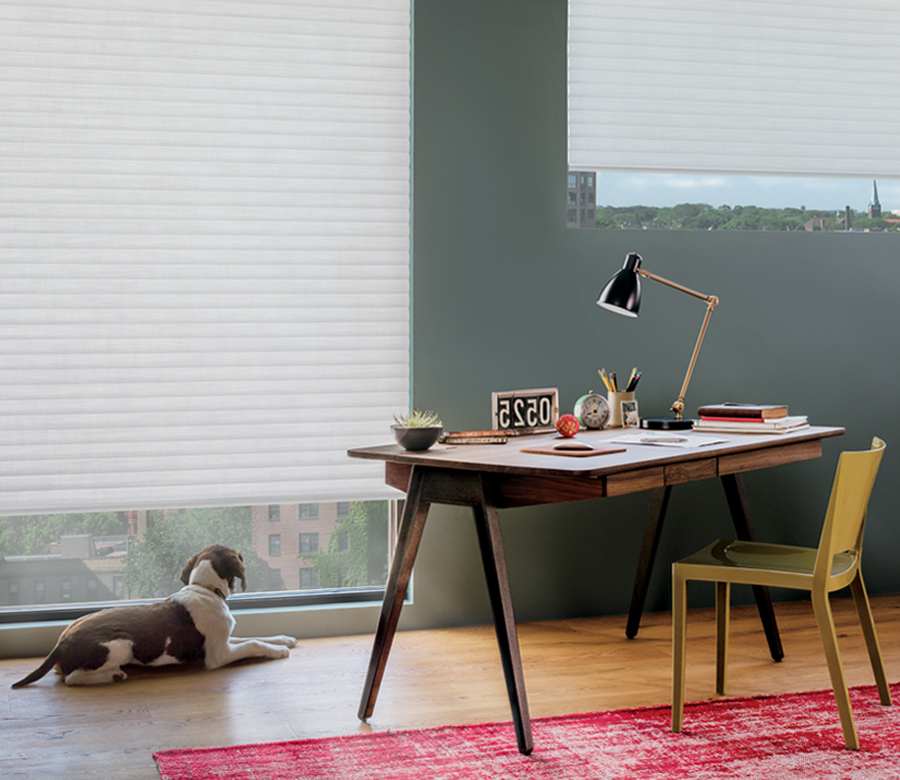 Cellular Roller Shades Hunter Douglas Minneapolis St Paul