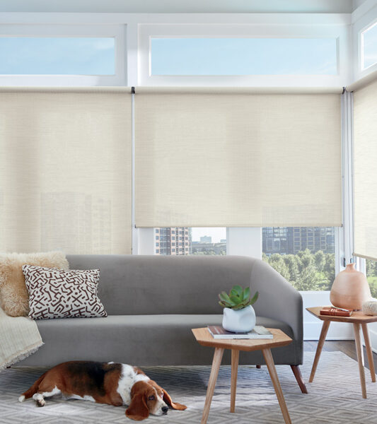 contemporary living room with corner windows covered with alustra roller shades Minneapolis MN