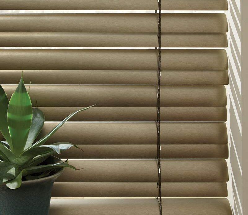 close up detail of horizontal blinds with cordless feature next to house plant in Maple Grove, MN