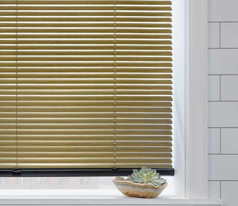 green decor metal blinds in white modern bathroom and small succulent in Maple Grove, MN